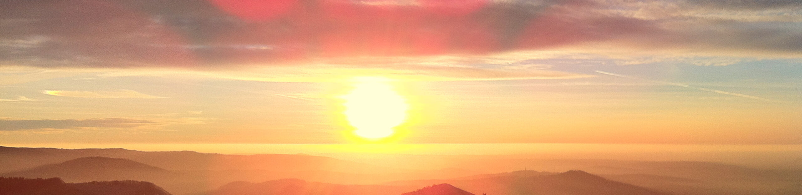 Header medijan Profil