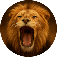 Stark auftreten reicht nicht. Du brauchst auch Biss.