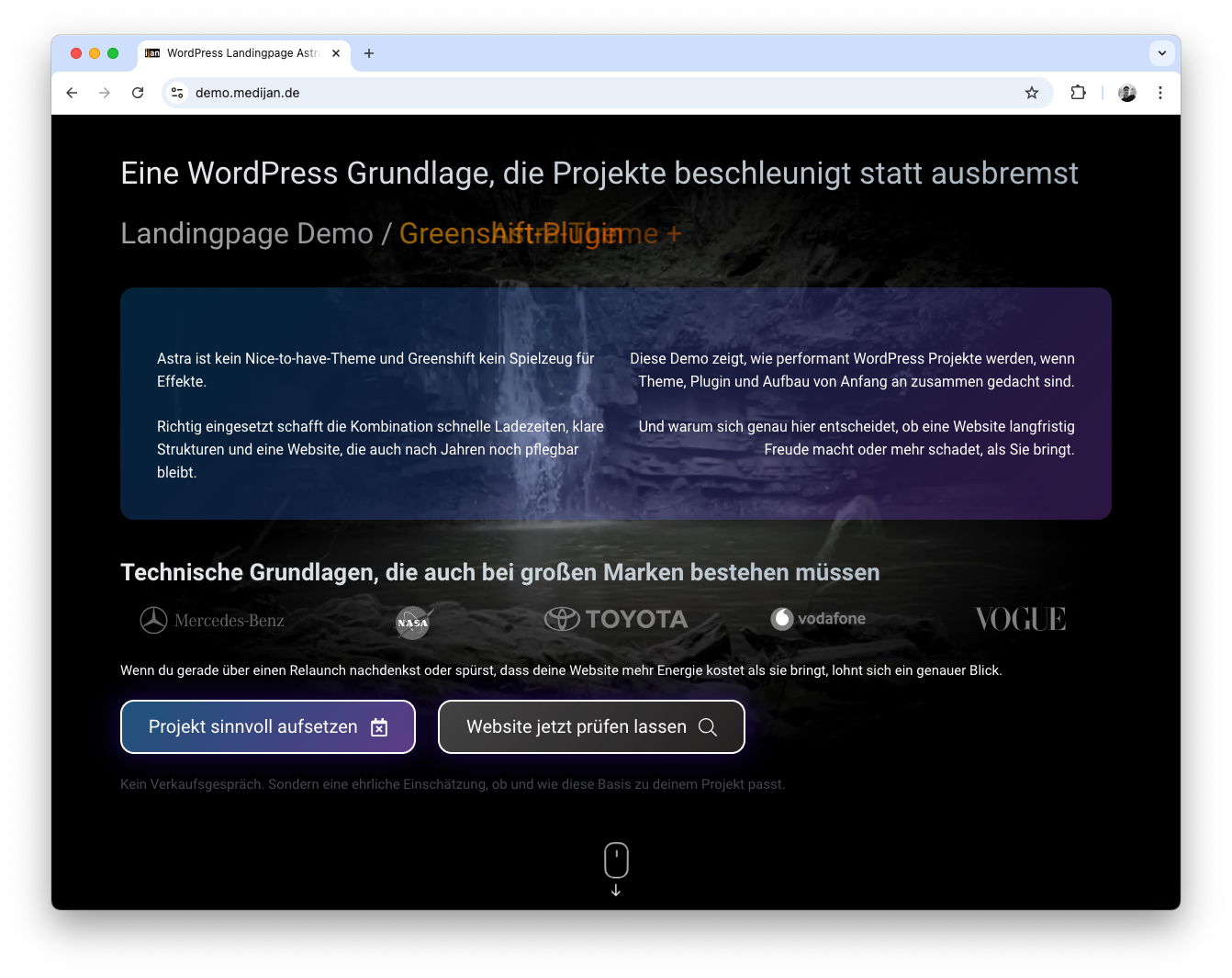 Screenshot Landingpage Demo Astra + Greenshift