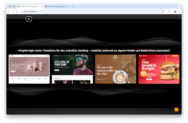 Screenshot Landingpage Demo Abschnitt Astra Templates