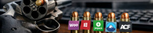 WordPress 7.0 Update russisch Roulette?